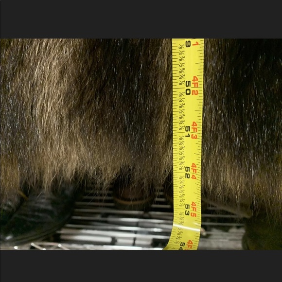 Antonvich Full Length Fur Coat - Picture 6 of 6